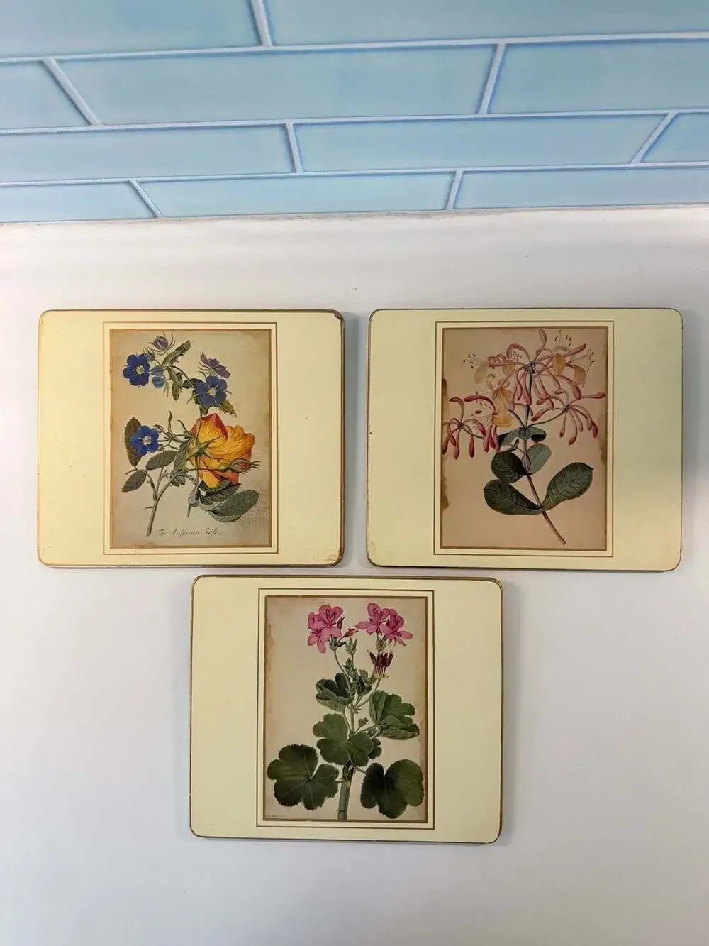 Lady Clare Vintage Botanical Placemats Set of 3 Made in England
